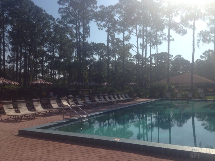 The pool at the KOA Lion Country Safari was immaculate and the services great at the campground.