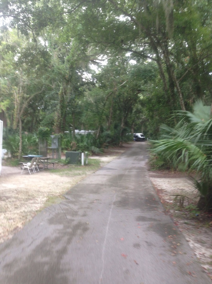 The campground at Kathryn Hanna Park near the beach in Jacksonville is a great place to call home for a while.